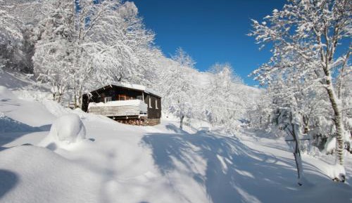 Two-Bedroom Chalet