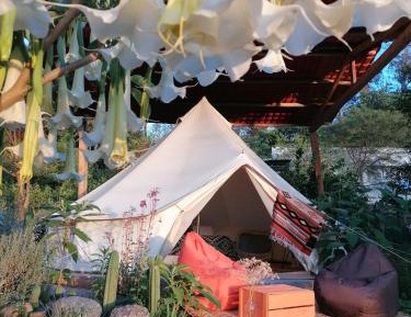 Tent