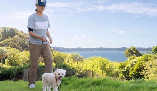 Standard Suite Japanese-Western Style with Two Single Beds and Ocean View - Dog Friendly