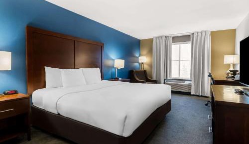 Standard King Room - Non-Smoking 