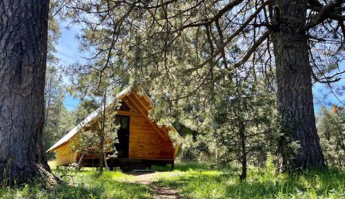 One-Bedroom Chalet
