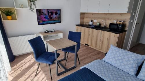 Studio with Sofa Bed