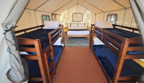 Standard Tent - Bunk Beds 
