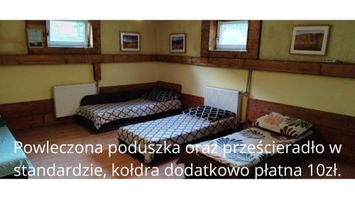 Single Bed in 6-Bed Dormitory Room