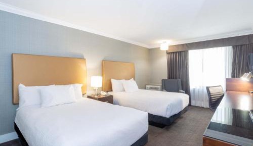 Standard Room, 2 Double Beds