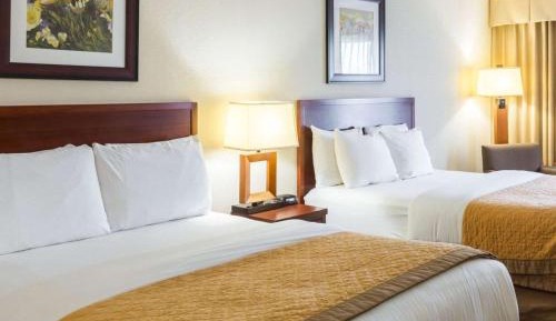 Queen Room with Two Queen Beds - Non-Smoking