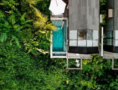 One-Bedroom Villa with Private Pool and Jungle View 