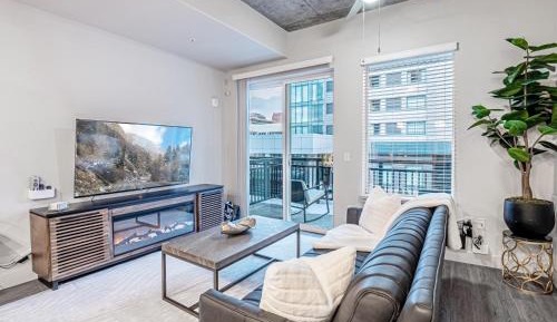 Deluxe One-Bedroom Apartment