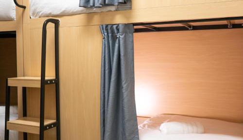 Single Bed in Mixed 12-Beds Dormitory Room