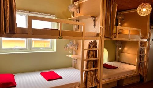 Bunk Bed in Mixed Dormitory Room