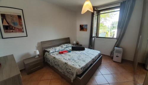 Two-Bedroom Standard Apartment