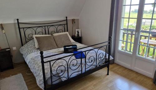 Double or Twin Room with Balcony