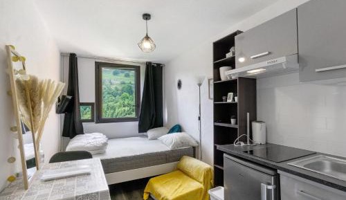 Superior One-Bedroom Apartment