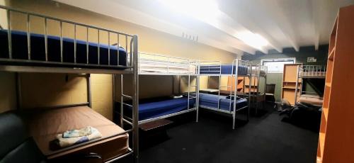 Bed in 14-Bed Mixed Dormitory Room