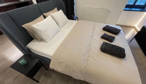 Deluxe One-Bedroom Apartment
