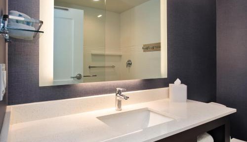 One-Bedroom King Suite with Sofa Bed - Hearing Accessible