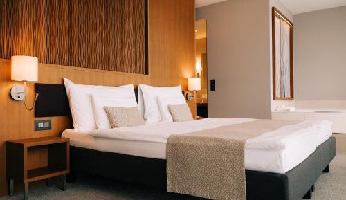 Panorama Mountain View Junior Suite