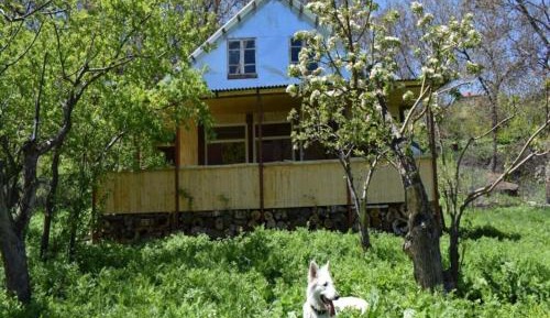 Double or Twin Room with Mountain View