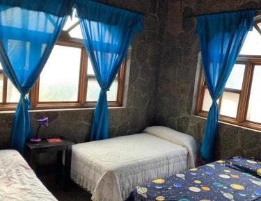 Single Bed in Mixed Dormitory Room
