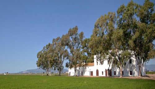 Seven-Bedroom House