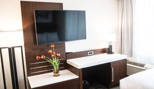1 Bedroom junior suite with king bed and a sofa bed