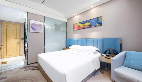Business King Room with City View