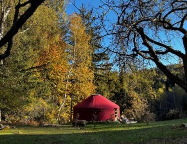 Tent
