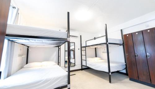 Bed in 8-Bed Dormitory Room