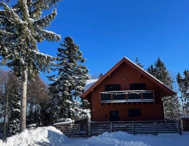 Superior Apartment with Sauna