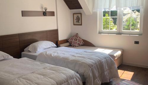 Standard Twin Room with Mountain View