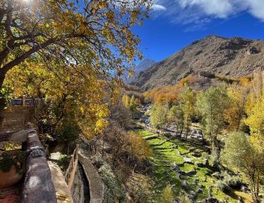 Deluxe Double or Twin Room with River View