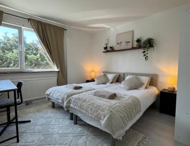Superior Double or Twin Room with Garden View