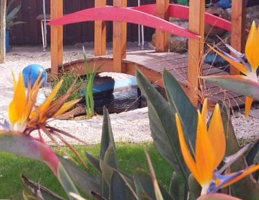 Studio with Garden View