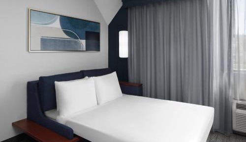 Executive King Suite with Sofa Bed