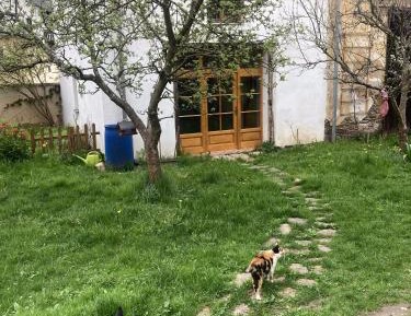 Apartment with Garden View