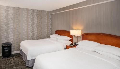 Queen Room with Two Queen Beds - Allergy Friendly