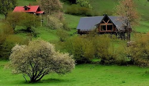 Family Bungalow