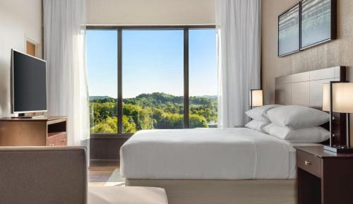 One-Bedroom King Suite with Sofa Bed and Lounge Access