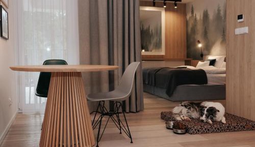Studio Apartment