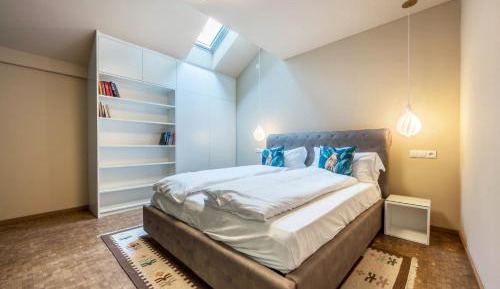 Superior One-Bedroom Apartment
