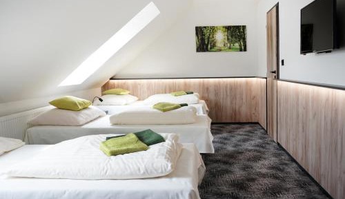 Triple Room with Private Bathroom