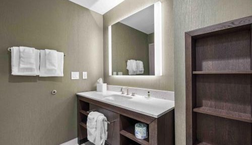One-Bedroom King Suite with Sofa Bed 