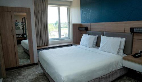 Standard King Suite
