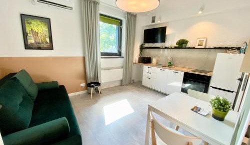 Studio Apartment