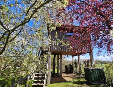 Perched Tree house - L'Ours Brun