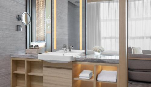 Deluxe Suite Room