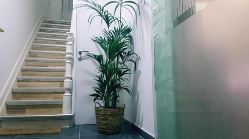 Single Room with Shared Shower and Toilet