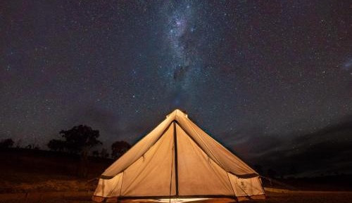 Glamping Tent - Pinot