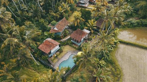 One-Bedroom Villa