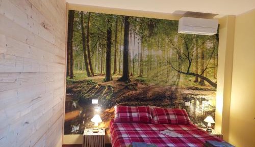 Double or Twin Room with Shared Bathroom